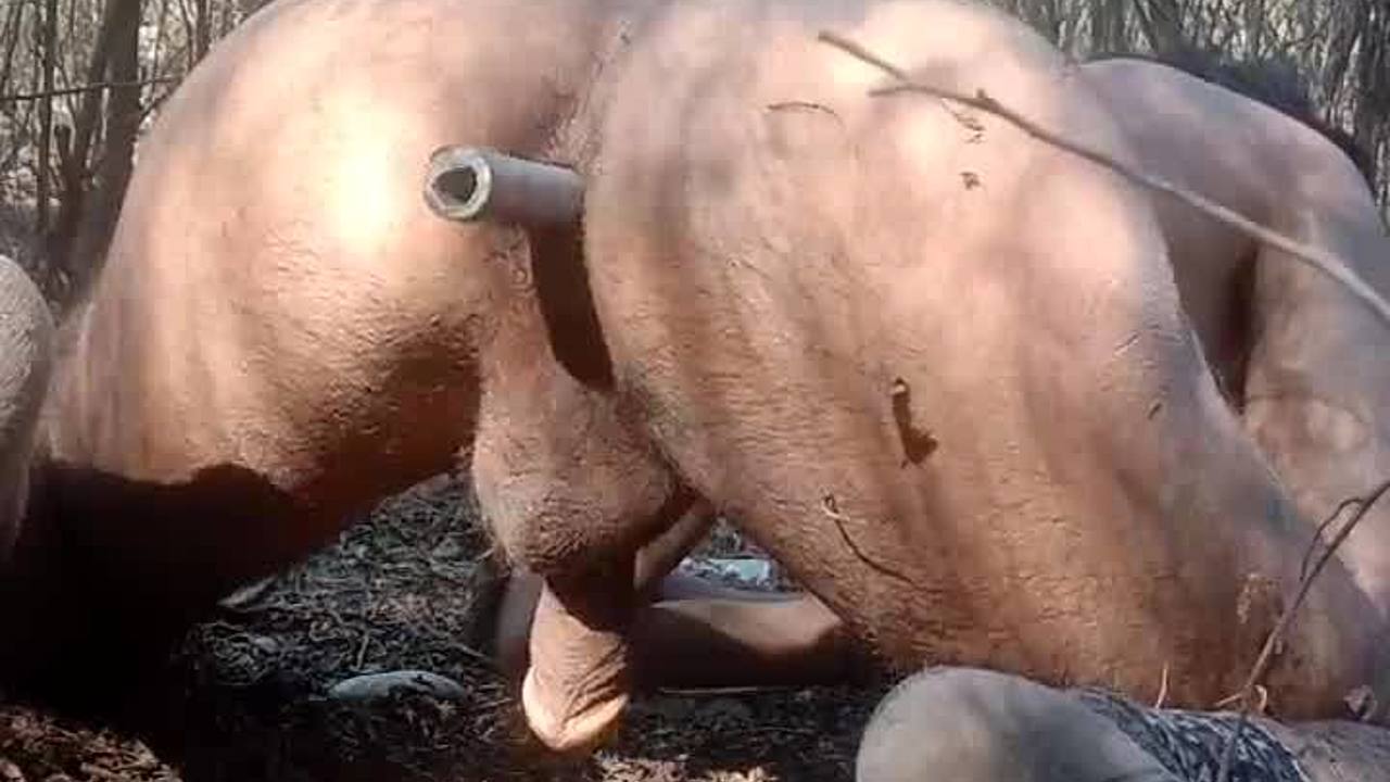 Ung indisk gutt får sin første smak av stor kuk med et leketøy i HD-video